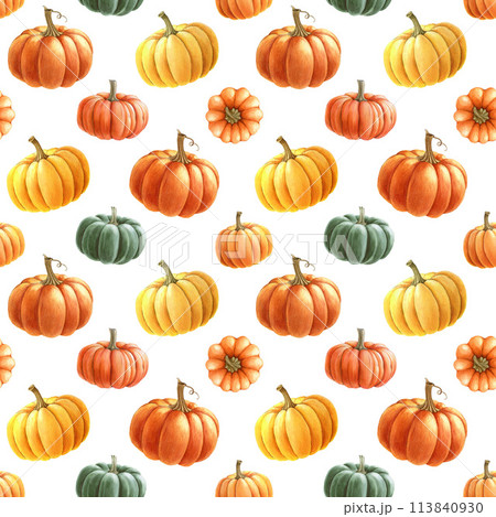Bright different pumpkins seamless pattern. Watercolor painted illustration. Hand drawn ripe orange autumn harvest pumpkin decoration. Thanksgiving and halloween bright seamless pattern element Bright different pumpkins seamless pattern. Watercolor painted illustration. Hand drawn ripe orange autumn harvest pumpkin decoration. Thanksgiving and halloween bright seamless pattern element 113840930
