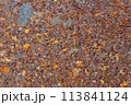 Rusty metal brown close up texture 113841124