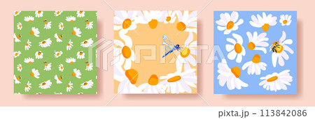 3 Summer Square Posters Daisies Bee Dragonfly White Yellow Frame Green Pattern Blue Postcard Template Banners Vector Flat Cute Background 3 Summer Square Posters Daisies Bee Dragonfly White Yellow Frame Green Pattern Blue Postcard Template Banners Vector Flat Cute Background 113842086