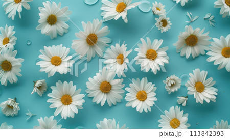 White Daisy Flowers On Blue Background. Fresh And Clean Floral Pattern. Purity Of Nature. 113842393