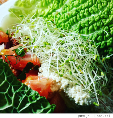 healthy vegan green food 113842571