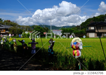 案山子フェスティバル 【相模原市大島 9月】 案山子フェスティバル 【相模原市大島 9月】 113842706