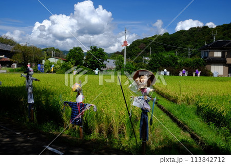 案山子フェスティバル　【相模原市大島　9月】 113842712