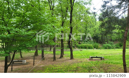Royal tombs of Korea Royal tombs of Korea 113842909