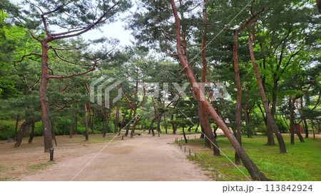 Royal tombs of Korea 113842924