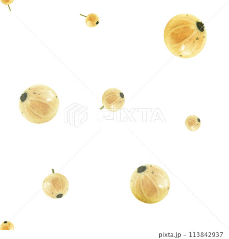Currant berry white watercolor drawing seamless border. Juicy delisious ripe fruit summer illustration. Sweet sour vitamin aquarelle isolated background. Ribes snowball yellow dessert decoration crop 113842937