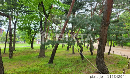 Royal tombs of Korea 113842944