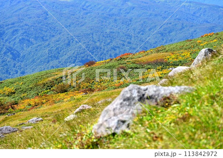 紅葉の見頃を迎えた月山 紅葉の見頃を迎えた月山 113842972