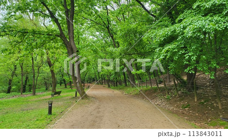 Royal tombs of Korea Royal tombs of Korea 113843011