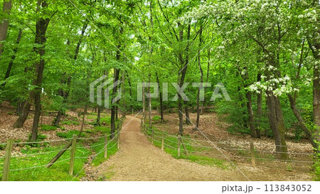 Royal tombs of Korea 113843052