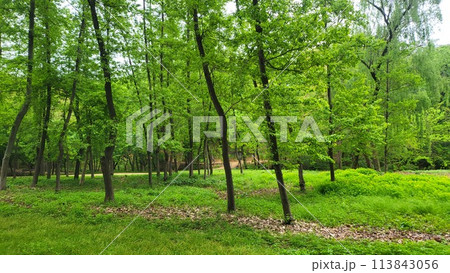 Royal tombs of Korea Royal tombs of Korea 113843056