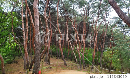 Royal tombs of Korea Royal tombs of Korea 113843059