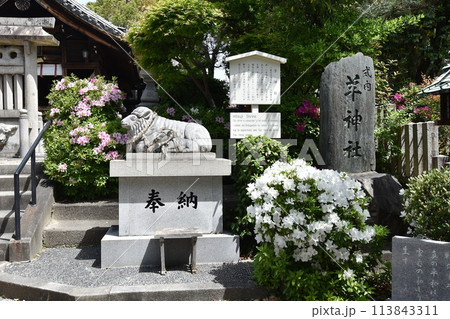 名古屋市北区にある羊神社 名古屋市北区にある羊神社 113843311