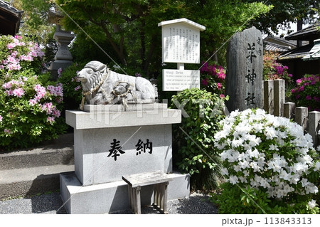 名古屋市北区にある羊神社 名古屋市北区にある羊神社 113843313