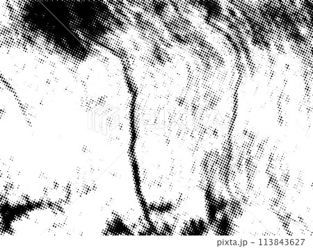 Black and white grunge. Distress overlay texture. Abstract surface dust and rough dirty wall background concept. Distress illustration simply place over object to create grunge effect. Vector EPS10. Black and white grunge. Distress overlay texture. Abstract surface dust and rough dirty wall background concept. Distress illustration simply place over object to create grunge effect. Vector EPS10. 113843627