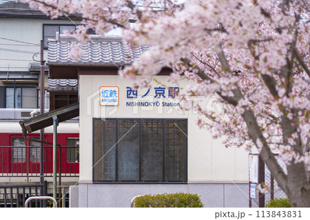 近鉄西ノ京駅と満開の桜 近鉄西ノ京駅と満開の桜 113843831