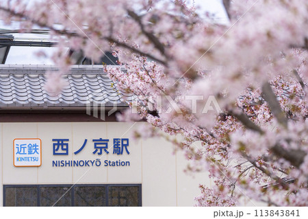 近鉄西ノ京駅と満開の桜 113843841