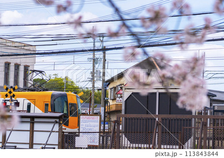 近鉄西ノ京駅と満開の桜 113843844