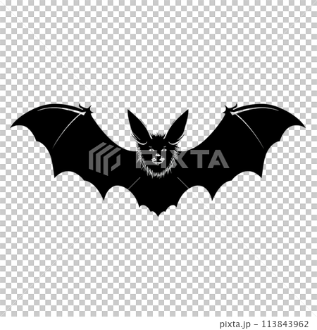Black silhouette of a bat on white background. 113843962
