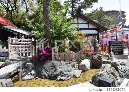 別小江神社境内 別小江神社境内 113843972
