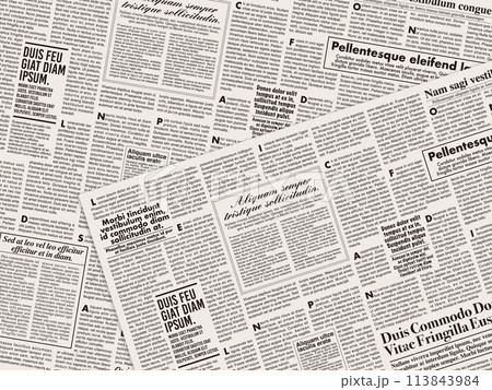 完全フルダミーの英字新聞風背景 113843984