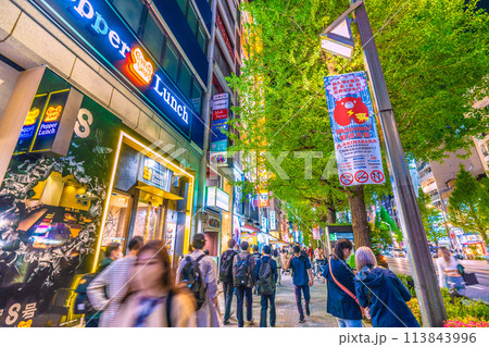 日本の東京都市景観 秋葉原化する末広町駅前などを望む(東京メトロ 銀座線) 日本の東京都市景観 秋葉原化する末広町駅前などを望む(東京メトロ 銀座線) 113843996