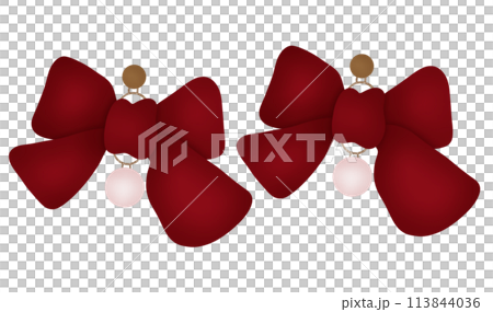 Bow earrings  113844036