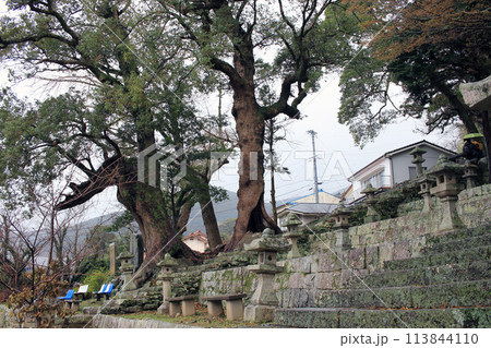 March 23, 2024: Tsushima Island Travel Hachimangu Shrine, Tsushima Island, Nagasaki Prefecture, Japan March 23, 2024: Tsushima Island Travel Hachimangu Shrine, Tsushima Island, Nagasaki Prefecture, Japan 113844110