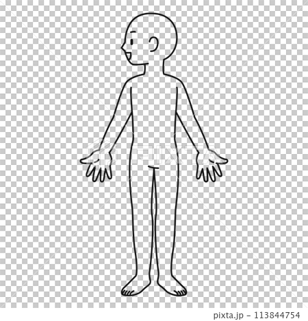 人体・男性・全身・線画 人体・男性・全身・線画 113844754