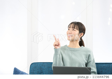 ノートパソコンを操作しながら指差しをする女性 ノートパソコンを操作しながら指差しをする女性 113844796