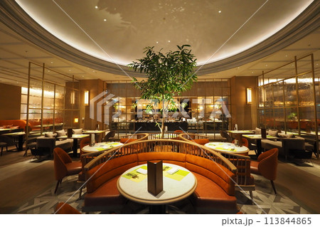 高級ホテルのおしゃれなレストラン 高級ホテルのおしゃれなレストラン 113844865