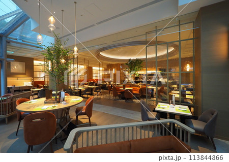 高級ホテルのおしゃれなレストラン 113844866