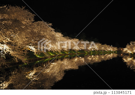 弘前公園の夜桜ライトアップの絶景 弘前公園の夜桜ライトアップの絶景 113845171