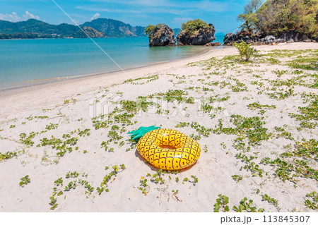 Pineapple float on the beach in summer Pineapple float on the beach in summer 113845307