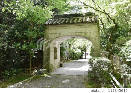 桃巌寺清浄門東側 113845615