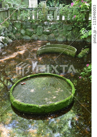 桃巖寺境内にある池 113846003