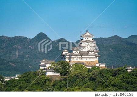 【世界遺産 姫路城】【日本100名城】名古山霊苑から見た初夏の夕暮れの姫路城1　兵庫県姫路市 113846159