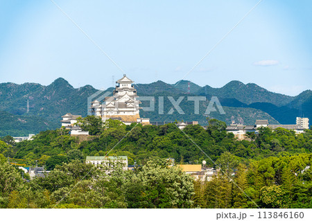 【世界遺産 姫路城】【日本100名城】名古山霊苑から見た初夏の夕暮れの姫路城2 兵庫県姫路市 【世界遺産 姫路城】【日本100名城】名古山霊苑から見た初夏の夕暮れの姫路城2 兵庫県姫路市 113846160