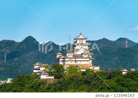 【世界遺産 姫路城】【日本100名城】名古山霊苑から見た初夏の夕暮れの姫路城5 兵庫県姫路市 【世界遺産 姫路城】【日本100名城】名古山霊苑から見た初夏の夕暮れの姫路城5 兵庫県姫路市 113846163
