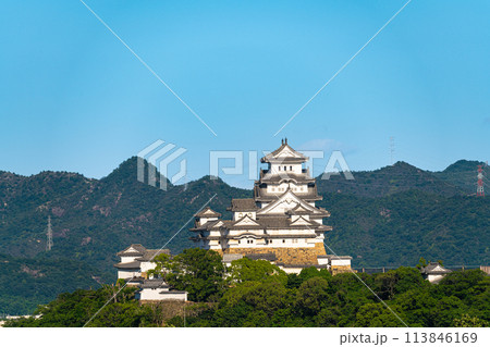 【世界遺産 姫路城】【日本100名城】名古山霊苑から見た初夏の夕暮れの姫路城11 兵庫県姫路市 【世界遺産 姫路城】【日本100名城】名古山霊苑から見た初夏の夕暮れの姫路城11 兵庫県姫路市 113846169