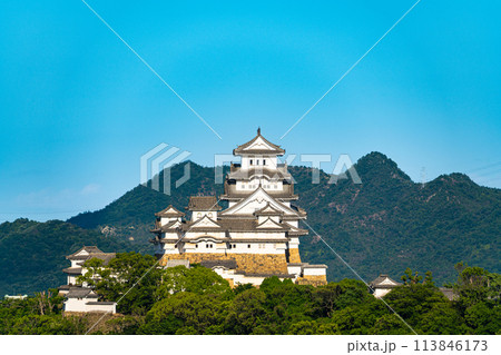 【世界遺産 姫路城】【日本100名城】名古山霊苑から見た初夏の夕暮れの姫路城14　兵庫県姫路市 113846173