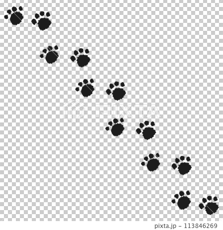 模擬風格爪子足跡手繪插圖（黑色） 113846269