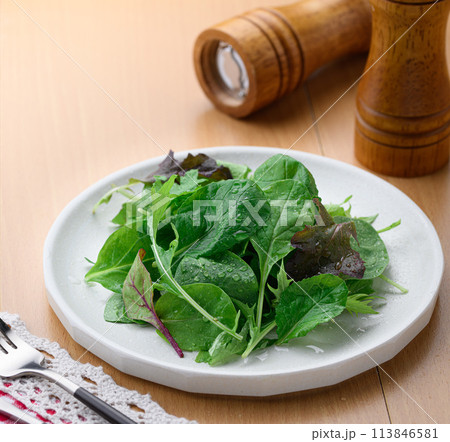 フレッシュでシンプルなベビーリーフのサラダ 113846581