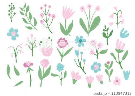 Hand drawn flowers set. Botanical various nature spring elements. Modern abstract floral and leaves shapes. Vector illustration for summer doodle design. 113847315