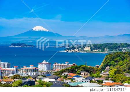 富士山と湘南海岸 春景 富士山と湘南海岸 春景 113847534