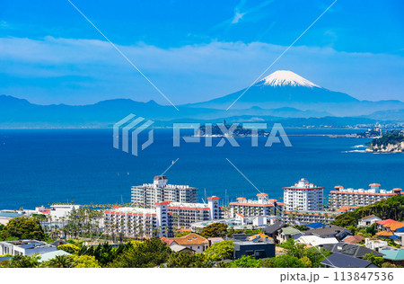 富士山と湘南海岸　春景 113847536