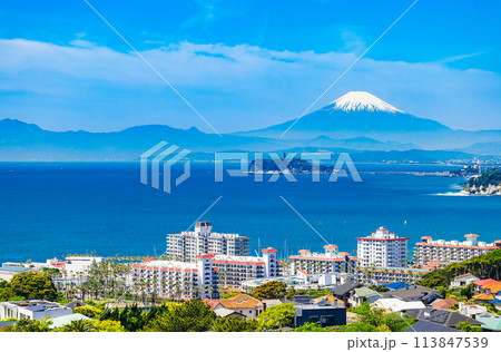 富士山と湘南海岸 春景 富士山と湘南海岸 春景 113847539
