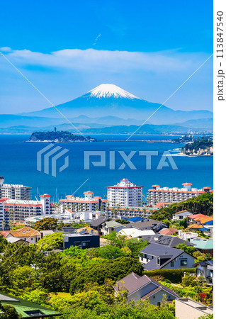 富士山と湘南海岸　春景 113847540