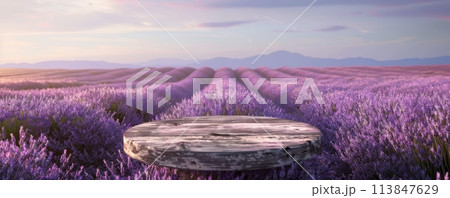 Serene Lavender Fields at Sunset with Wooden Platform in the Foreground 113847629