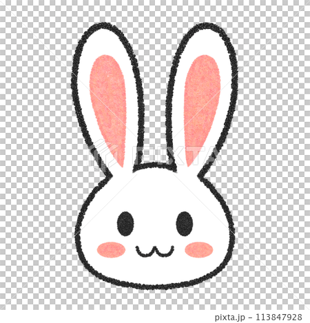 うさぎの顔 うさぎの顔 113847928